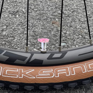 Pink plumeria valve stem cap installed on a bicycle wheel outdoors – Xalvoria