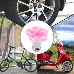 Pink plumeria valve stem cap shown on cars, bikes and scooters – Xalvoria