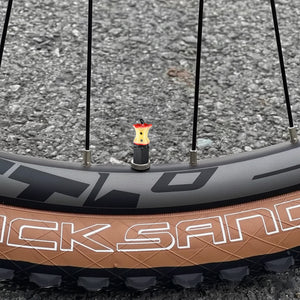 Xalvoria Apple Core valve stem cap installed on bicycle wheel outdoors