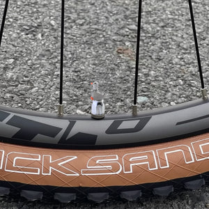 Xalvoria gray goose valve stem cap installed on bike wheel for decorative use