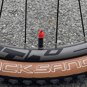 Devil duck valve stem cap installed on a bicycle wheel outdoors – Xalvoria