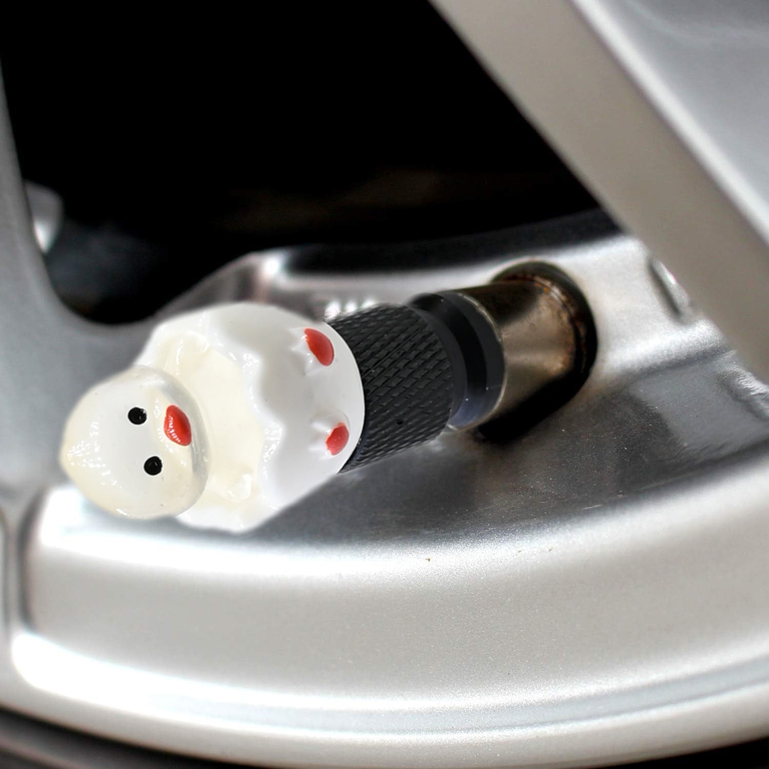 Hatching duck valve stem cap close-up on a car tire valve – Xalvoria
