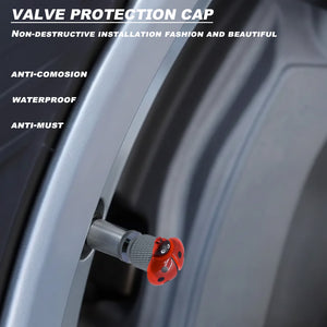 Ladybug valve stem cap installed on a car tire valve with waterproof and anti-corrosion protection features – Xalvoria