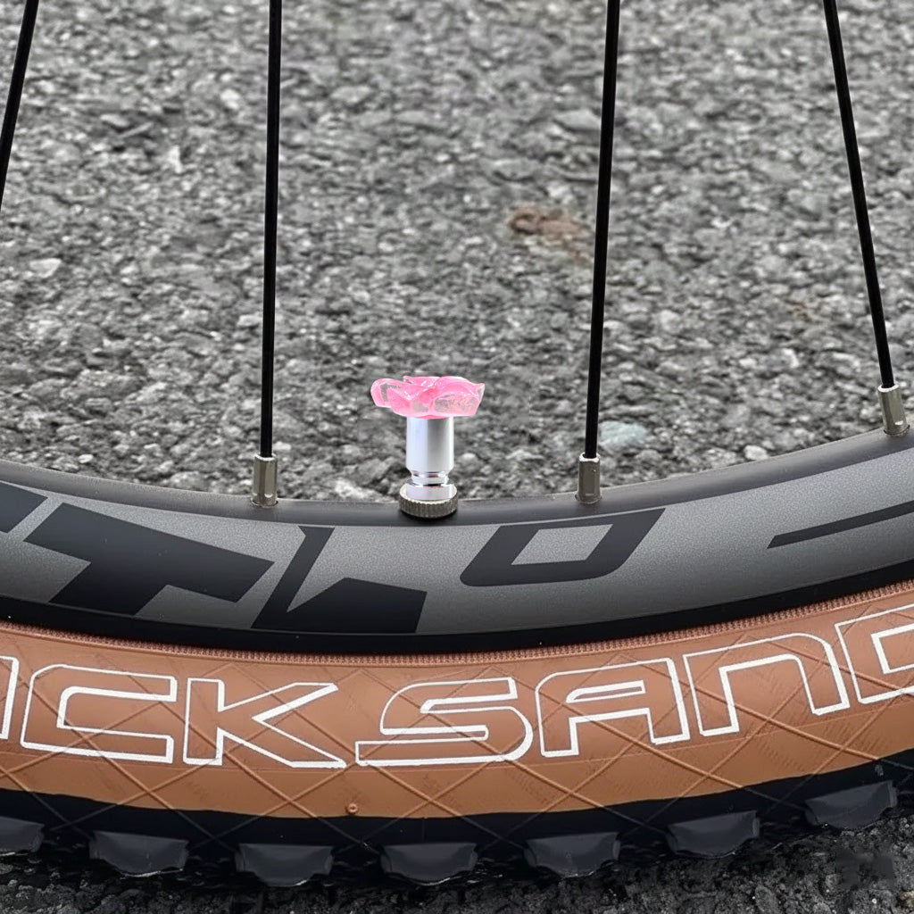 Pink plumeria valve stem cap installed on a bicycle wheel outdoors – Xalvoria
