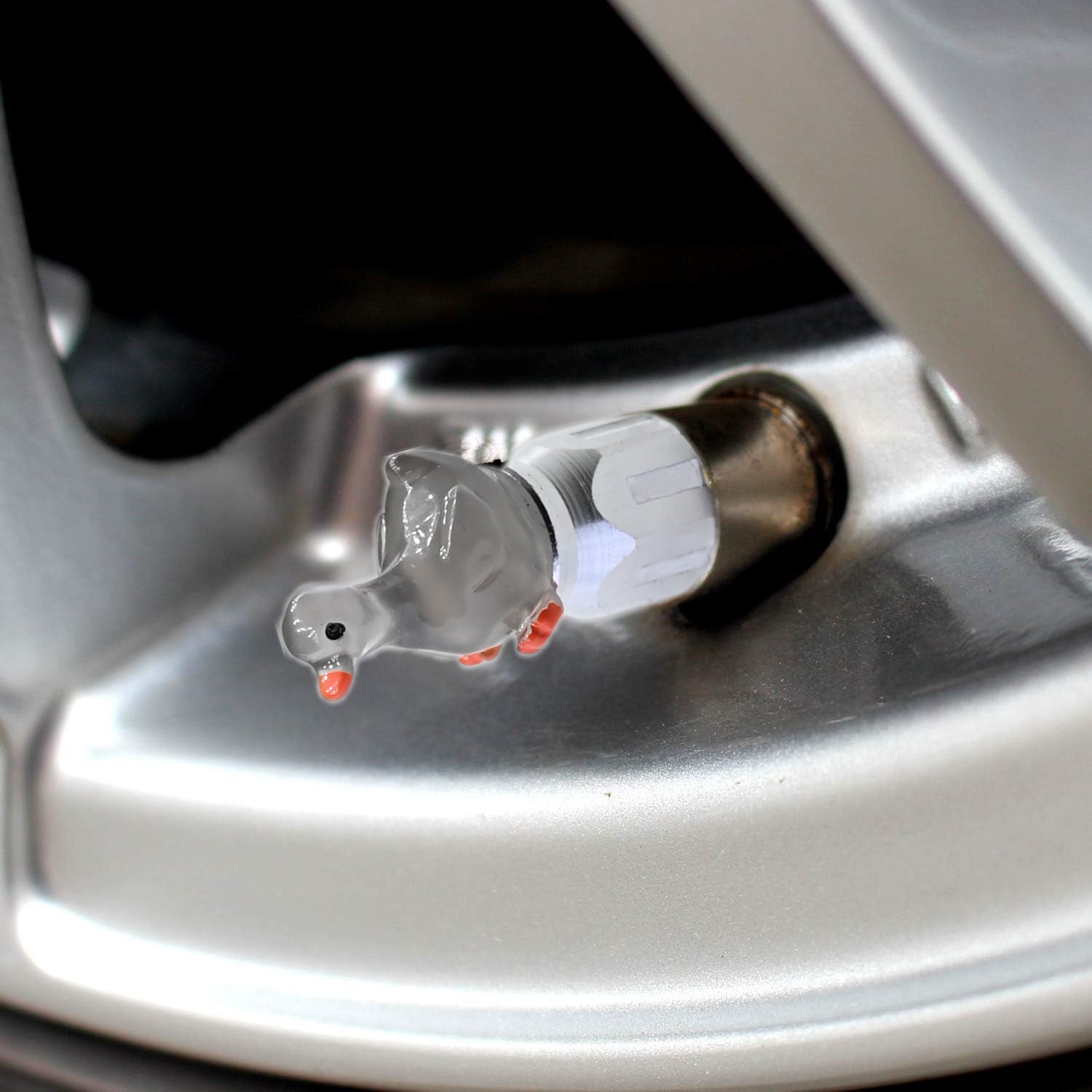 Xalvoria gray goose valve stem cap close-up installed on car wheel