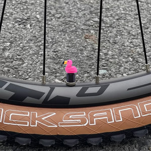 Xalvoria pink flamingo valve stem cap displayed on bicycle wheel valve stem with bright resin flamingo design
